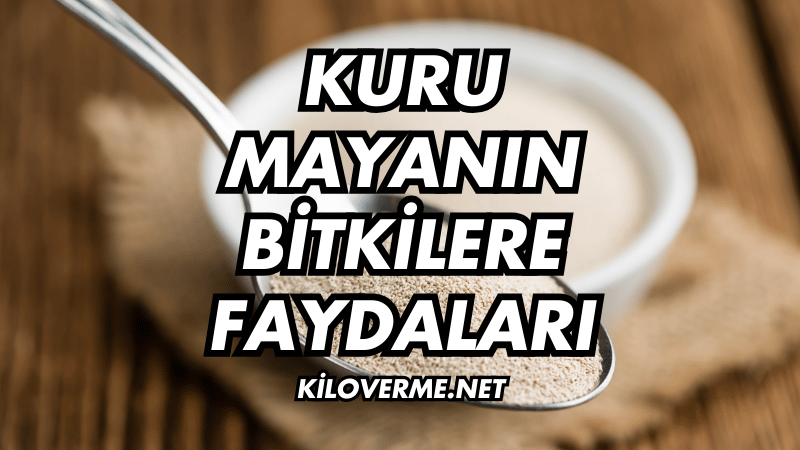 Kuru Mayanın Bitkilere Faydaları Nelerdir