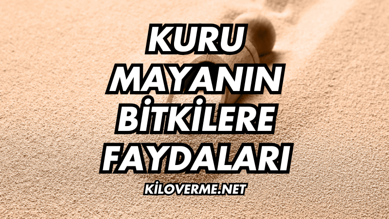 Kuru Mayanın Bitkilere Faydaları