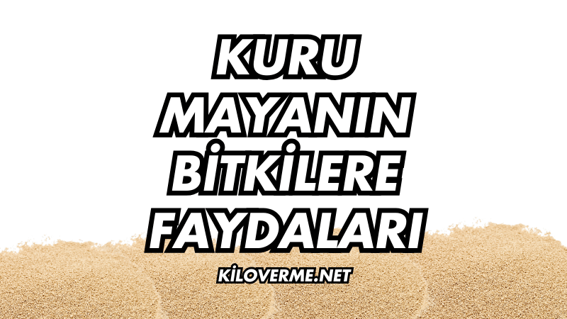 Kuru Mayanın Bitkilere Faydaları